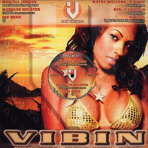 Vibin - Volume 1