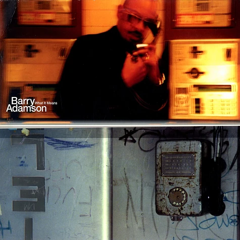 Barry Adamson - What it means