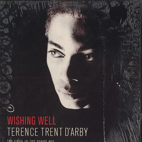 Terence Trent D'Arby - Wishing Well (The Cool In The Shade Mix)