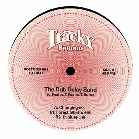 The Dub Delay Band - Changing EP