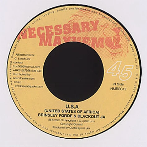 Brinsley Forde & Blackout Ja - U.S.A. (United States of Africa)