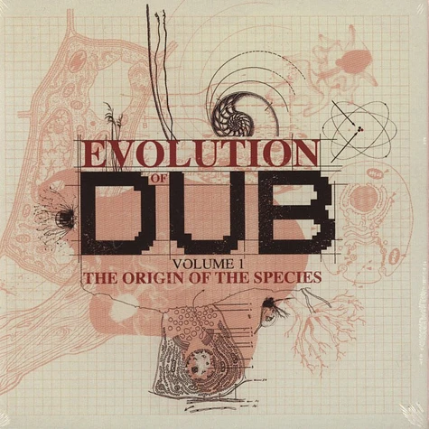 King Tubby, Joe Gibbs & Niney The Observe - The evolution of dub volume 1