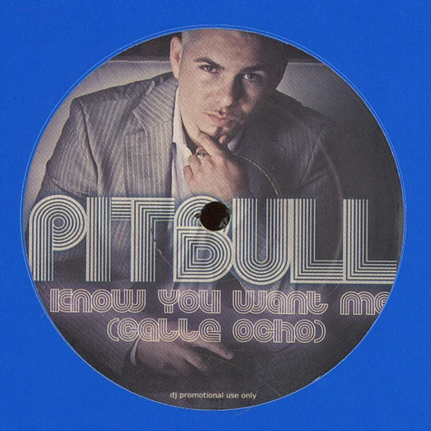 Pitbull - I Know You Want Me