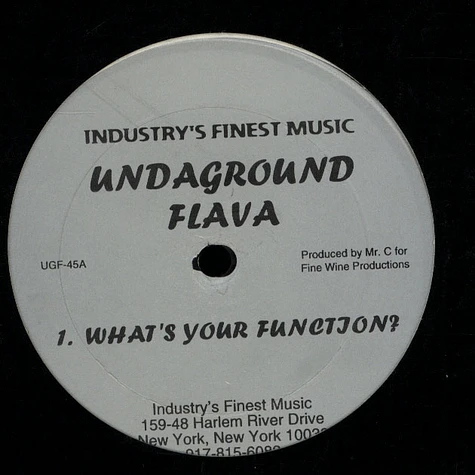 Undaground Flava - What's Your Function?