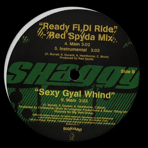 Shaggy - Ready fi di ride