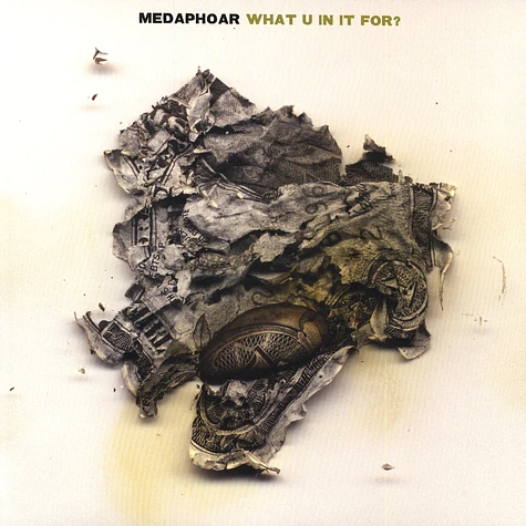 Medaphoar - What u in it for ?