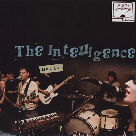 The Intelligence - Males