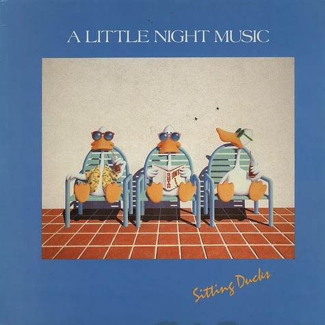 A Little Night Music - Sitting Ducks