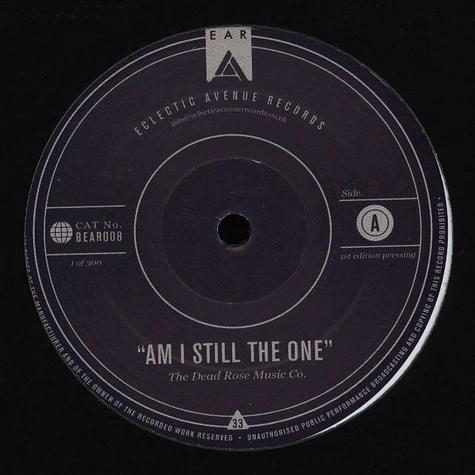 Dead Rose Music Company - Am I Still The One