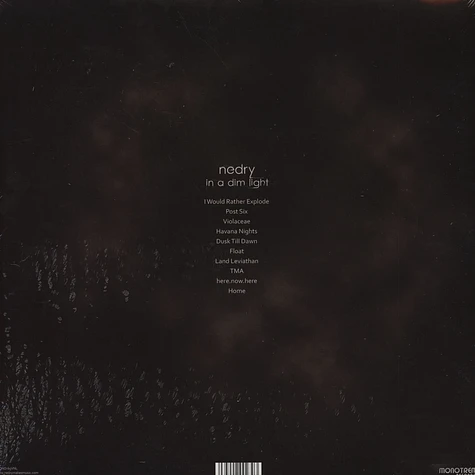 Nedry - In A Dim Light