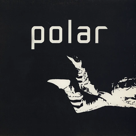 Polar - Skydiver