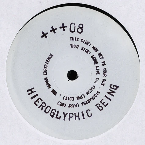 Hieroglyphic Being - The Human Experience