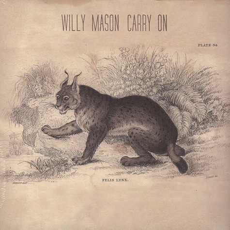 Willy Mason - Carry On