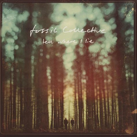 Fossil Collective - Tell Me I Lie