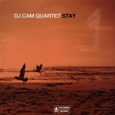 DJ Cam Quartet - Stay