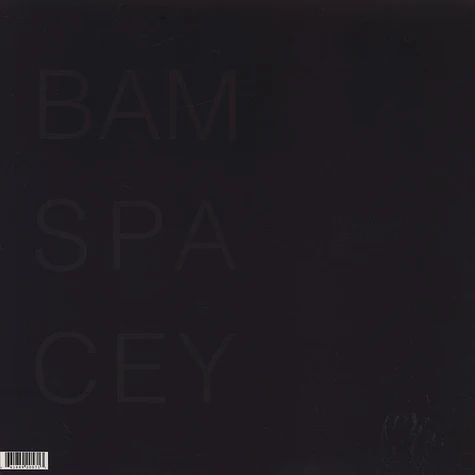 Bam Spacey - Land