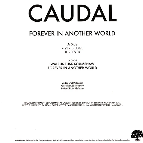 Caudal - Forever In Another World