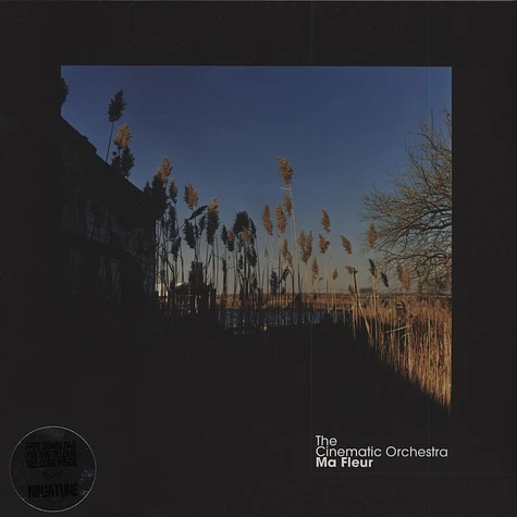 The Cinematic Orchestra - Ma Fleur