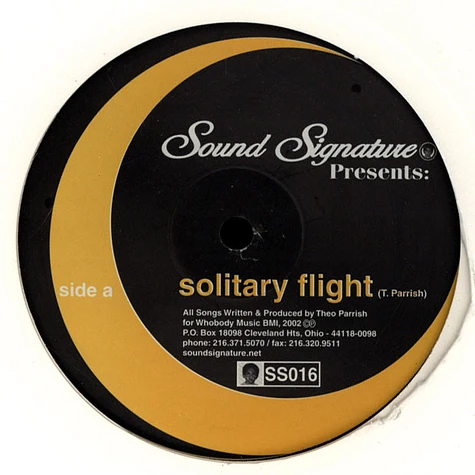 Theo Parrish - Solitary Flight