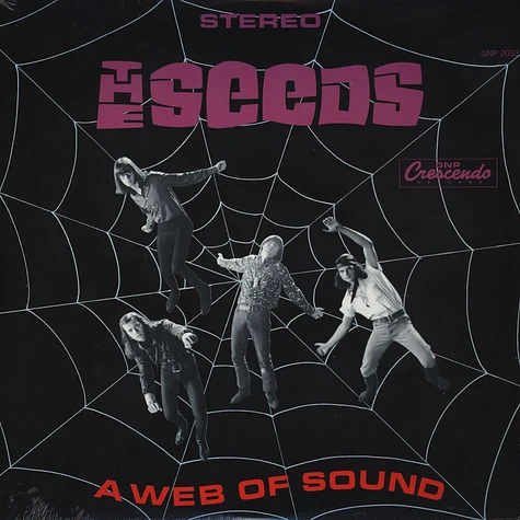 Seeds - A Web Of Sound