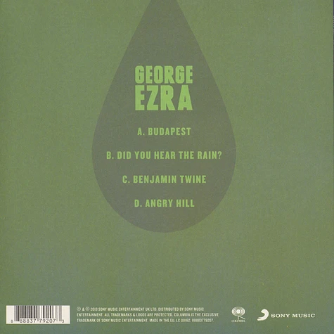 George Ezra - Did You Hear The Rain