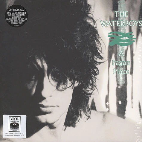 The Waterboys - A Pagan Place