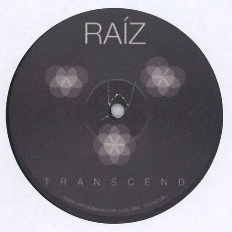 Raiz - Transcend