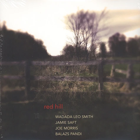 Wadada Leo Smith, Jamie Staff & Joe Morris - Red Hill