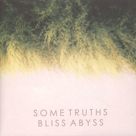 Some Truths - Bliss Abyss