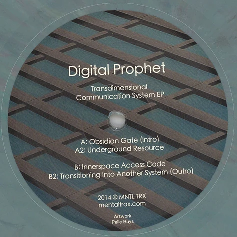 Digital Prophet - Transdimensional Communication Systems