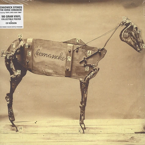 Chadwick Stokes - The Horse Comanche