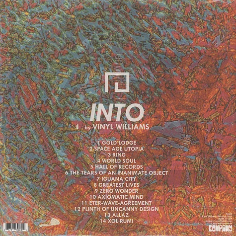 Vinyl Williams - Into