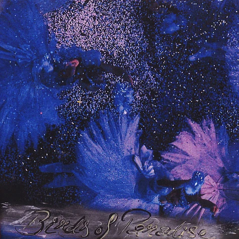 Birds Of Paradise - Untitled Black Vinyl Edition