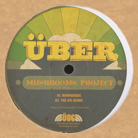 Mushrooms Project - African Obsession
