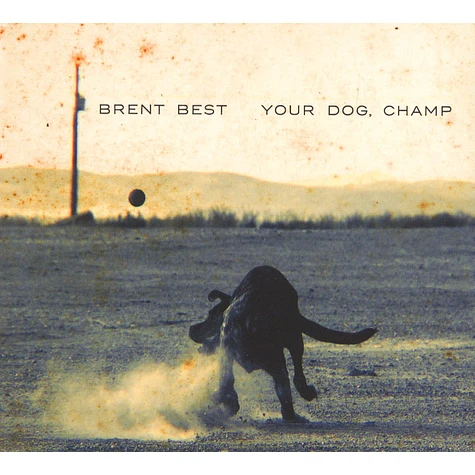 Brent Best - Your Dog Champ