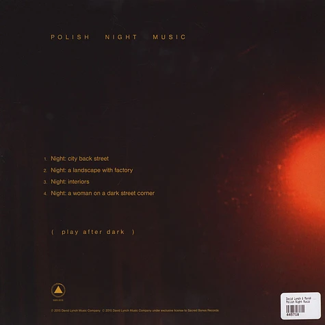 David Lynch & Marek Zebrowski - Polish Night Music