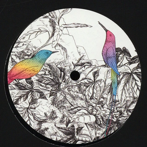 A Vision Of Panorama - Two Birds