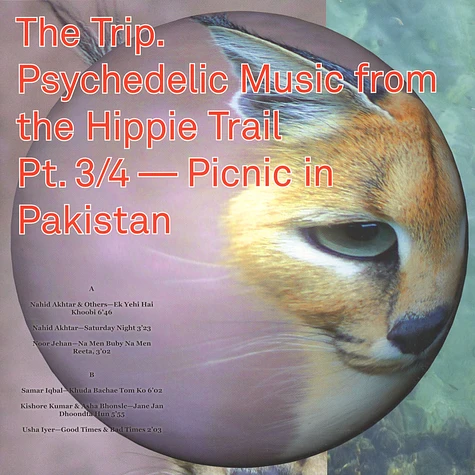 V.A. - The Trip. Psychedelic Music from the Hippie Trail. Pt. 3/4 - Picnic in Pakistan