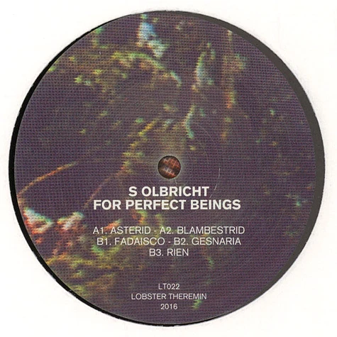 S Olbricht - For Perfect Beings