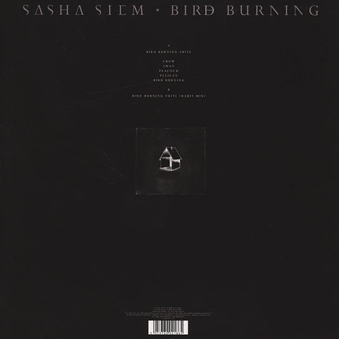 Sasha Siem - Bird Burning