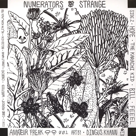 The Numerators - Strange