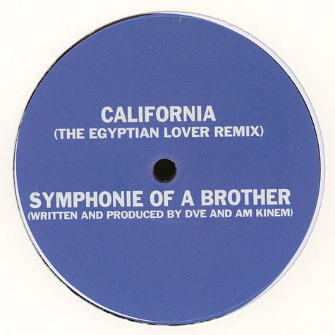 Damiano Von Erckert - California