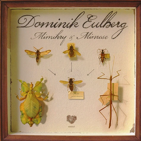 Dominik Eulberg - Mimikry & Mimese EP