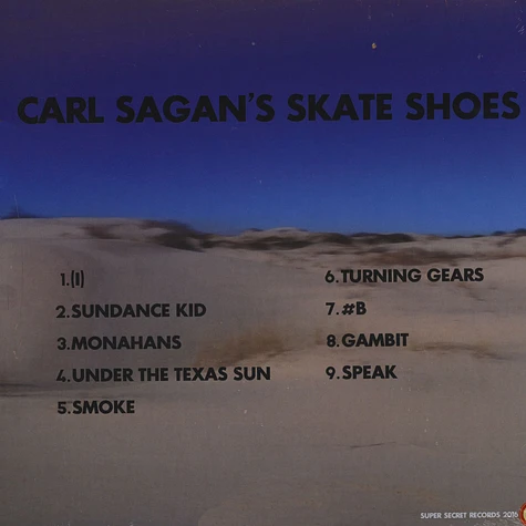 Carl Sagan's Skate Shoes - Carl Sagan's Skate Shoes