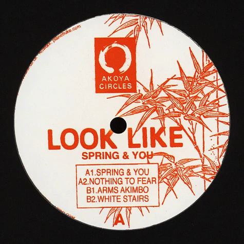 Look Like - Spring & You