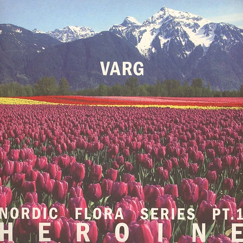 Varg - Nordic Flora Series Part 1: Heroine