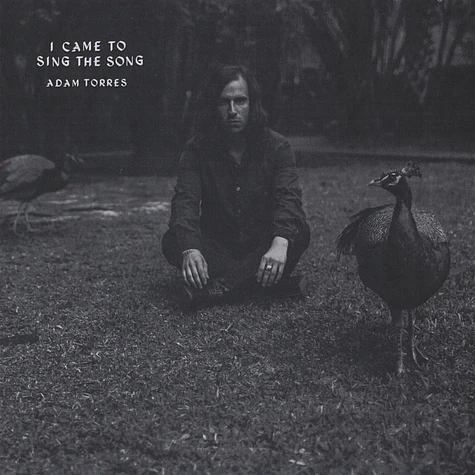 Adam Torres - I Came To Sing The Song