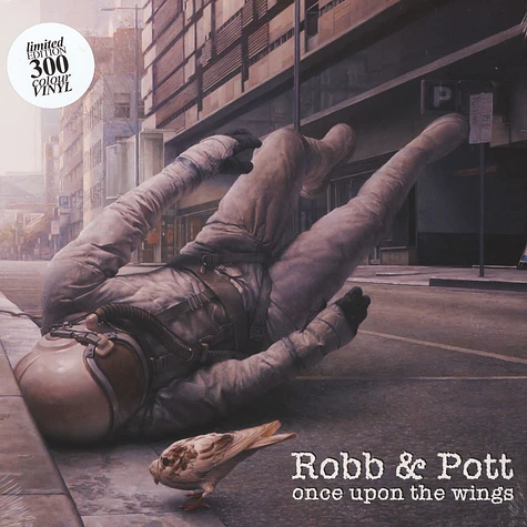 Robb & Pott - Once Upon The Wings