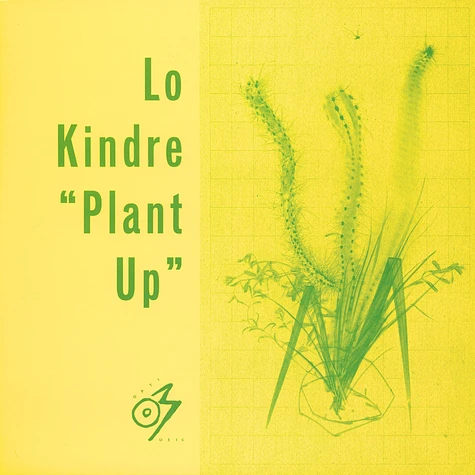 Lo Kindre - Plant Up