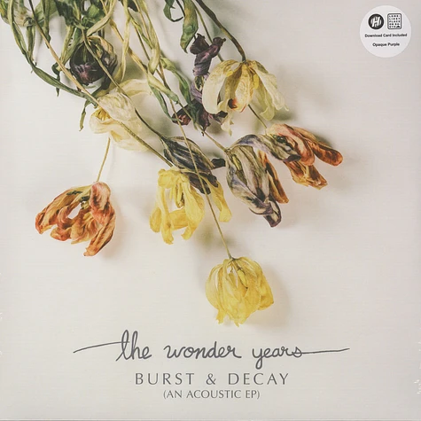 The Wonder Years - Burst & Decay